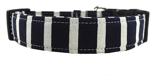 burberry dog collar amazon