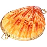 Sewroro Seashell Jewelry Box Small Shell Jewelry Holder Natural Seashell Trinket Organizer for Home Use and Travel Storage