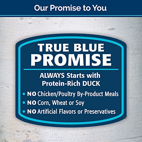 BLUE Wilderness Adult Grain Free Duck Dry Cat Food 11-lb