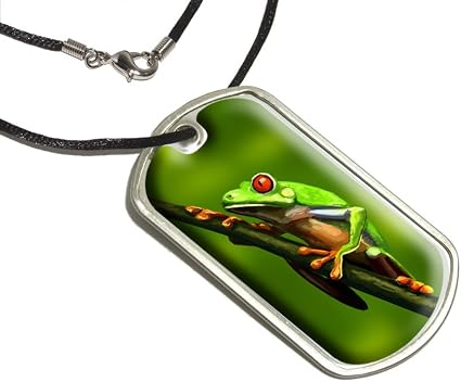 Amazon Com Graphics And More Green Red Eyed Tree Frog