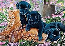 Cobble Hill Black Lab Puppies 35 Piece Jigsaw Puzzle