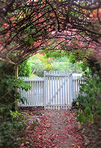 Laeacco Countryside Yard Backdrops for Photography 3x5ft Vinyl Photo Backgorund Customized White ...