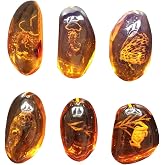 VORCOOL 5pcs Amber with Insects Samples Stones Crystal Specimens Home Decorations Collection Oval Pendant (Random Pattern)