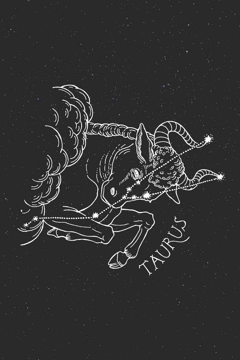 Taurus Zodiac Lined Notebook Journal: (120 pages, 6 x 9, Blank): Astrology,  Sardine Designs: 9781793925572: Amazon.com: Books