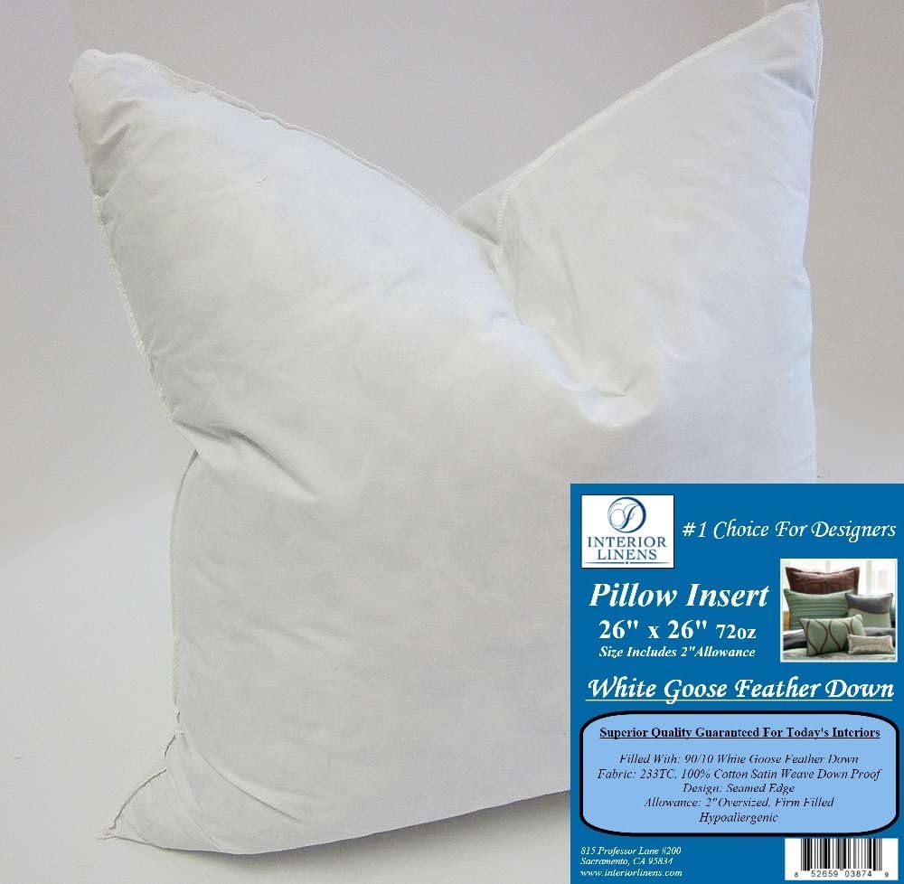 Amazon Com 26 X 26 72oz Pillow Insert 90 10 White Goose
