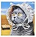 Mcphee Accoutrements Cat Bonnet