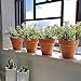BESTTOYHOME 4 Pcs Artificial Rosemary Plants Fake Rosemary Greenery Leaves Bushes Evergreen Shrubs Spray in Green - 9.85