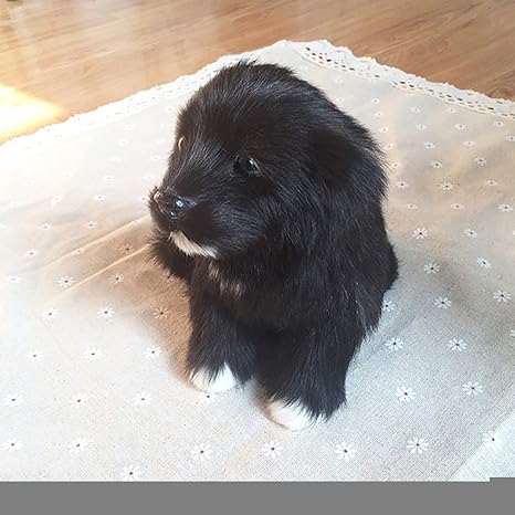 Ygqersh Simulé Mignon Petit Chien Noir Maison Voiture Bureau