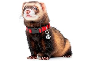 Marshall Pet Products Bell Collar, (Red)