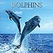 2019 Wall Calendar - Dolphins Calendar, 12 x 12 Inch Monthly View, 16-Month, Sea Animals Theme, Includes 180 Reminder Stickers