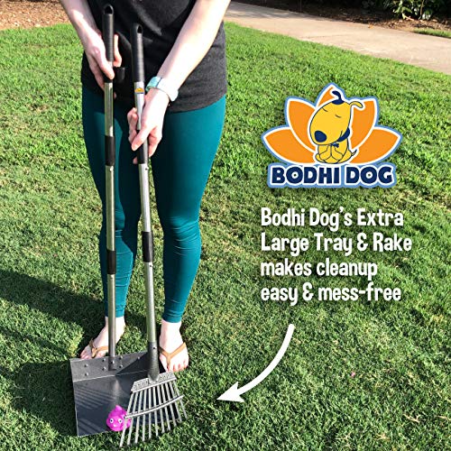 Bodhi Dog Metal Long Handle Tray and Rake Pooper Scooper Perfect for Small, Medium, Large, XL