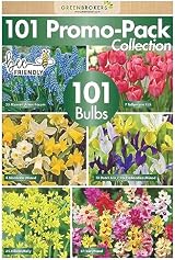 GreenBrokers 101 Promo Pack Bulbs – Premium Dutch Bulbs Variety view 2
