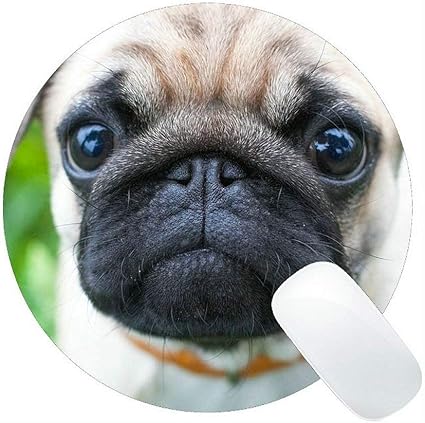 Amazon 円形のマウスパッド 犬かわいい動物犬ペットパグ子犬賭博のマウスパッド Yanteng マウスパッド 通販