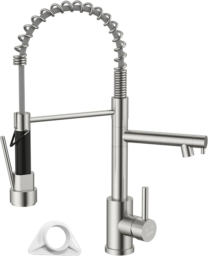 DAYONE 360° Swivel Pull Down Kitchen Tap Dual Spouts SUS304 Brushed