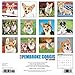 Just Pembroke Corgis 2017 Wall Calendar (Dog Breed Calendars)