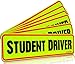 Signs Authority Student Driver Bumper Magnet for New Drivers, Novice or Beginner. Reusable Unlike a Decal or Bumper Sticker. Reflective Magnetic Large Bold Visible Text (Student Driver 6 Pack)