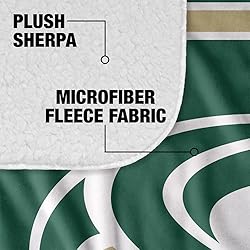 Sacramento State University Primary Logo Stripes
