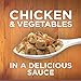 Hill'S Ideal Balance Adult Wet Cat Food, Slow-Cooked Chicken Recipe Canned Cat Food, 2.9 Oz, 24 Pack