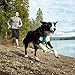 RUFFWEAR - Front Range Dog Harness, Reflective and Padded Harness for Training and Everyday, Twilight Gray (2017), Large/X-Large