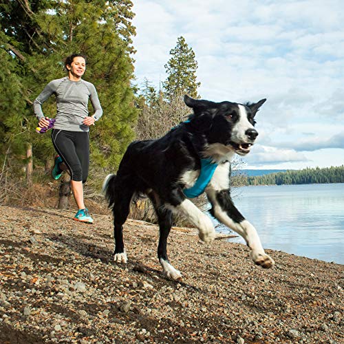 ruffwear all day adventure dog harness