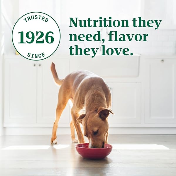 NUTRO ULTRA WET DOG FOOD SENIOR PATE TRIO OF PROTEINS CHICKEN, LAMB & WHITEFISH, 3.5 OZ. TRAYS (24 COUNT, PACK OF 1)