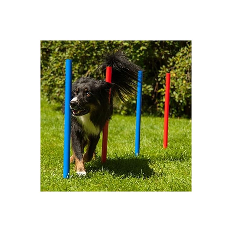 Dog Agility Set K2 KatzeHundTier Shop