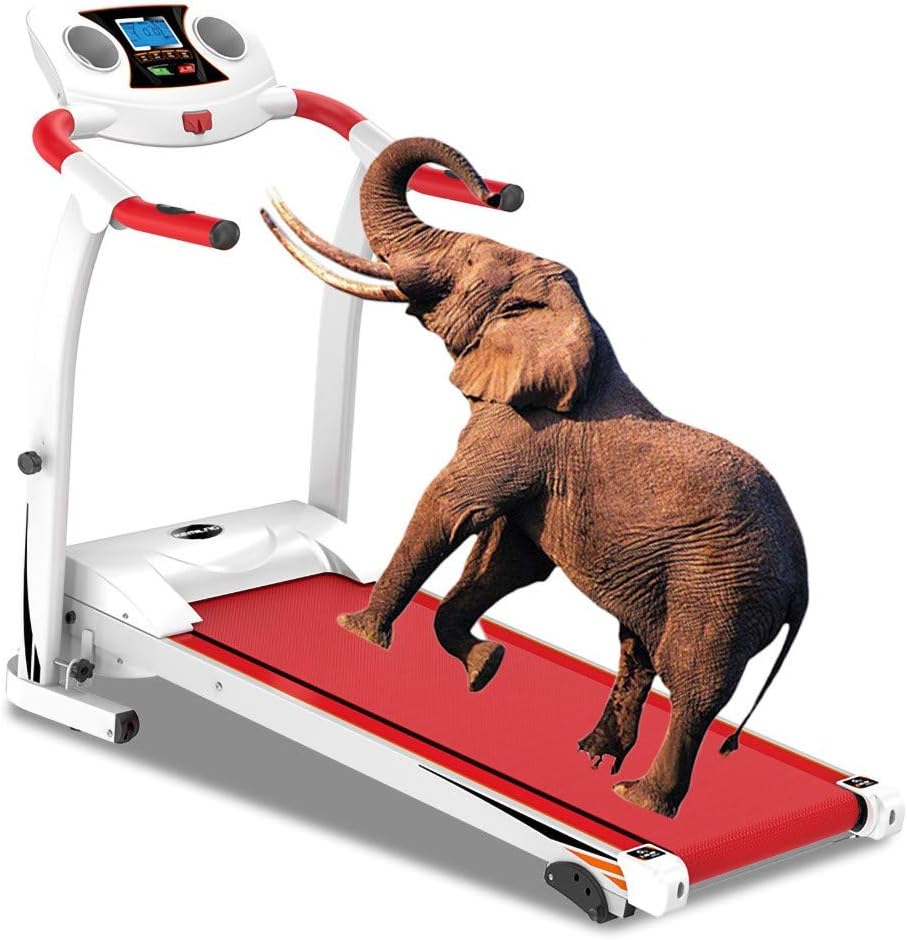 dynamic running machine