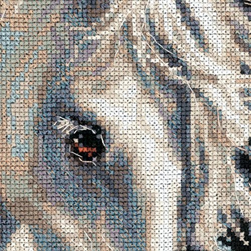 RIOLIS 14 Count Andalusian Character Counted Cross Stitch Kit, 11.75 x 17.75