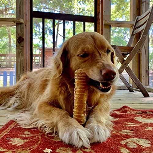SUPERCAN Bully Sticks Beef Trachea Dog Chews 6inch [10Count] 100