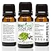BioFinest Clove Leaf Oil - 100% Pure Clove Essential Oil - Premium Organic - Therapeutic Grade - Best For Tooth Aches - Anti-Bacteria - Natural Skin Care - FREE Essential Oil Guide (10ml)