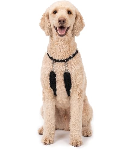 Amazon.com : Buddy Belts Leather Harness Caramel - Premium Edition