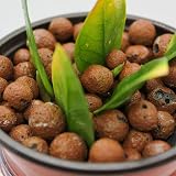 UK GROW 5L Clay Pebbles Hydroponic Growing Substrate 5L view 2