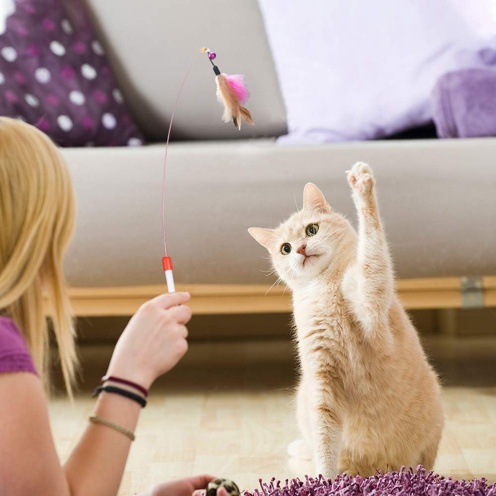Dono 21Pcs Cats Feather Toys-Kitten Interactive Pet Toys Assortments (2 or 3 Way Hole Tunnel) Cat Feather Wand Fun Ball Chew Sticks, Fluffy Mouse, Fake Mice, Crinkle Balls, Bell Play Supplies : Pet Supplies