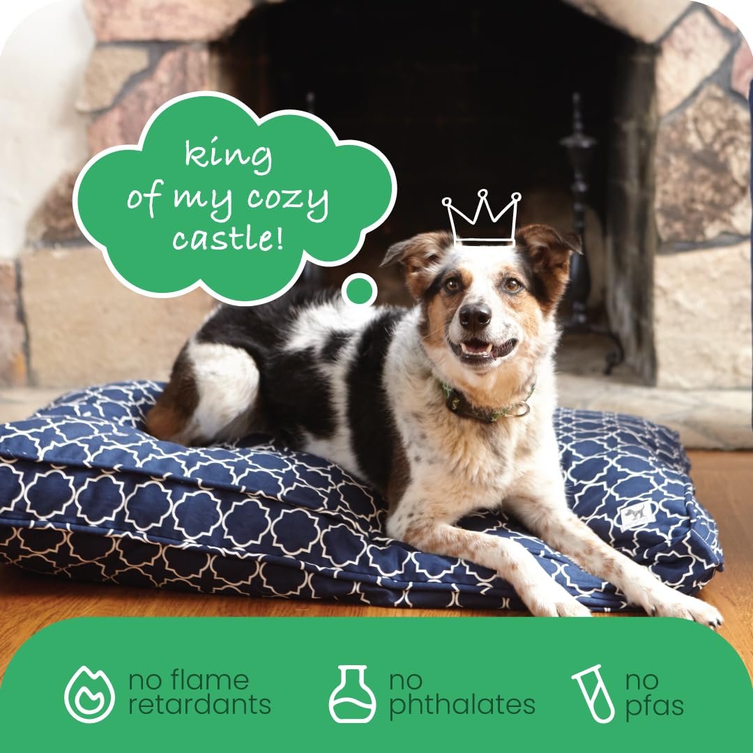 View 6