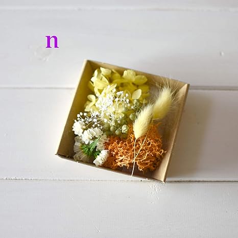 Amazon ハーバリウム 花材のみ あじさい かすみ草 ラグラス スターチス プリザーブドフラワーキット N 橙色イエロー プリザーブドフラワー オンライン通販