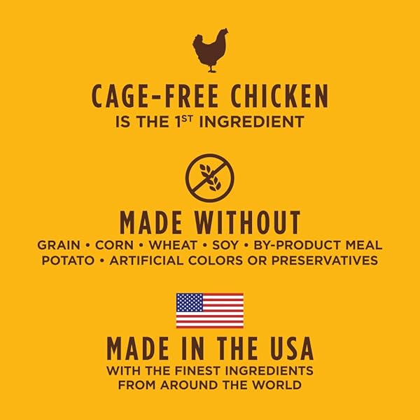 INSTINCT ORIGINAL DRY CAT FOOD, RAW COATED KIBBLE, HIGH PROTEIN, GRAIN FREE RECIPE – REAL CHICKEN, 11 LB. BAG