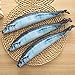 Chris.W 2Pcs Portable Simulated Artificial Saury Fish Shape Pencil Case Coin Organizer Zipper Pen Bag Pouch, Novelty Gift Idea
