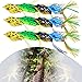 Sougayilang Hollow Frog Fishing Lures Soft Topwater Baits for Bass Snakehead Saltwater Freshwater Fishing (LeiWa-12Pcs)