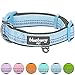 Blueberry Pet Soft & Safe 3M Reflective Neoprene Padded Adjustable Dog Collar - Baby Blue Pastel Color, Small, Neck 12