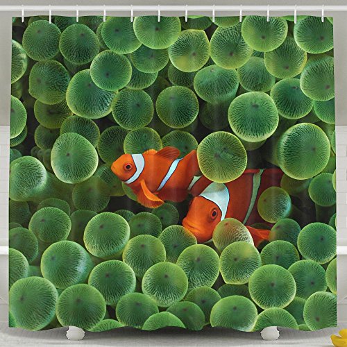 Clownfish Shower Curtains Clownfish Shower Curtain
