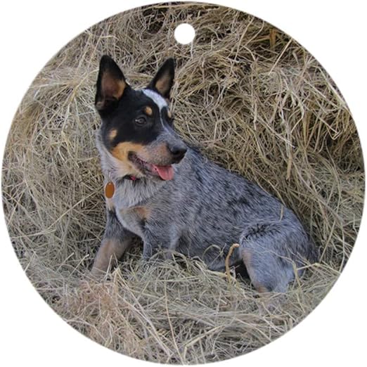 blue heeler gift ideas