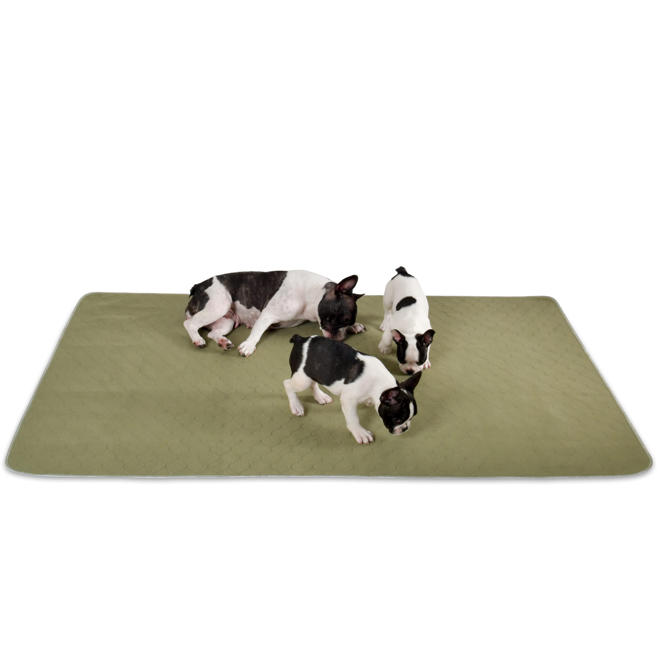 Washable Dog Pads Extra Extra Large. XXL Incontinent Senior Dogs. More Coverage for puppy in training.Leak Proof Protect Floors, Car, Whelping, Travel, Potty Pad For Multiple Dogs 112 x 160 cm