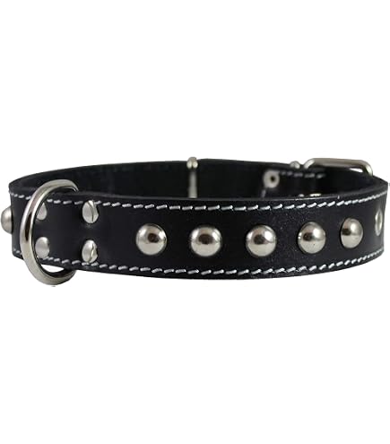 Dogs My Love Extra Wide Studded Genuine Leather Dog Collar, 17.5-21 Inches, Black