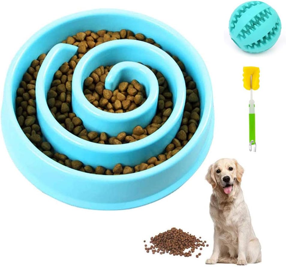 can kittens eat dog food