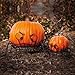 Spider Pumpkin Holders, Set of 2