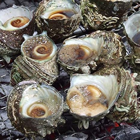 天然サザエ鳥取県産 冷凍 3ｋｇ 中小サイズ お刺身 壺焼きに サザエ 貝類 通販 Amazon