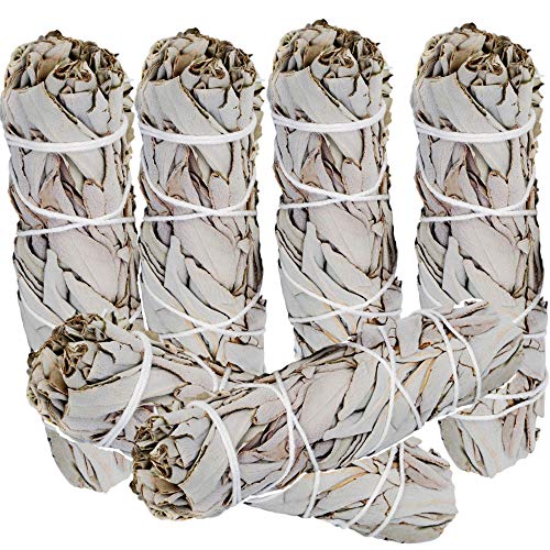 Sage Smudge Sticks, 3 White Sage Bundles Refill - Energy Cleansing, California White Sage Smudging Sticks, Organic, Freshly Dried Incense Sage Stick Set, Sustainable, Charitable Positive Vibes! - Thumbnail 5