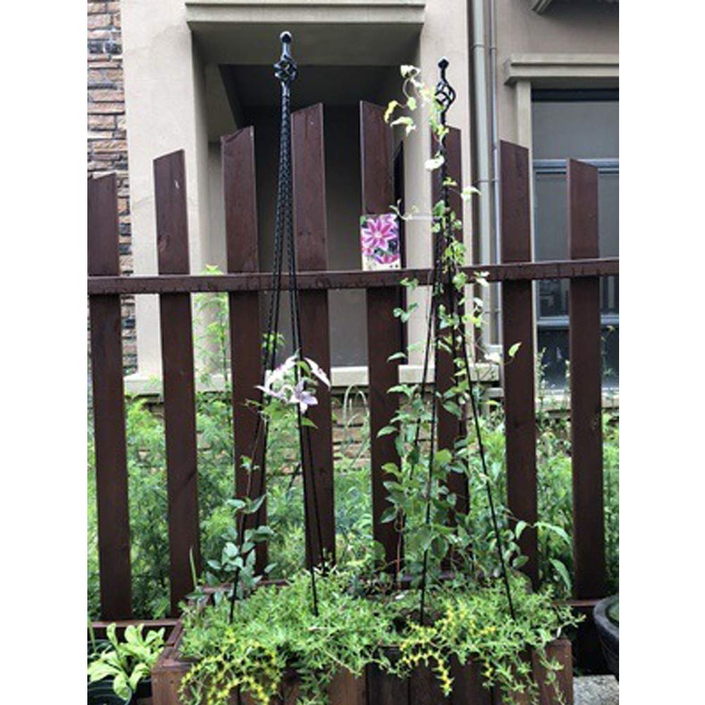 Enrejado de jardín Obelisk para Plantas de Escalada en Maceta ...