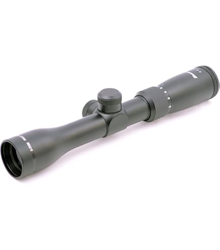 Amazon.com : BSA Optics Edge Pistol Scope 2-7x32mm 30/30