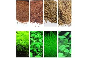 4 Bags Aquarium Plant S.e.e.ds, not Artificial Plastic Plant, Fish Tank Live Grass for All Substrate